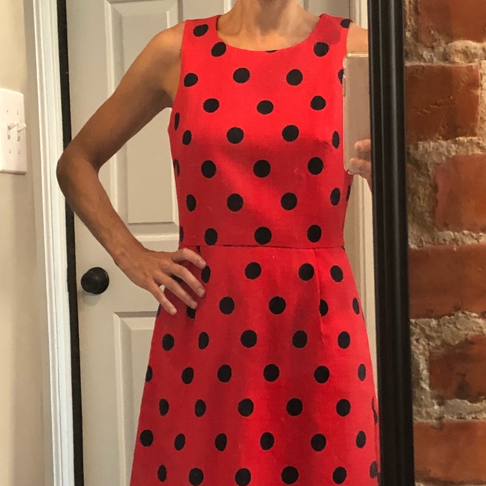 J Crew dress